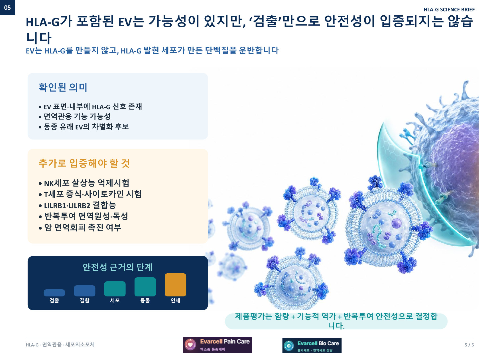 HLA-G가 포함된 EV는 가능성이 있지만 검출만으로 안전성이 입증되지는 않습니다 — 제품평가는 함량과 기능적 역가, 반복투여 안전성으로 결정