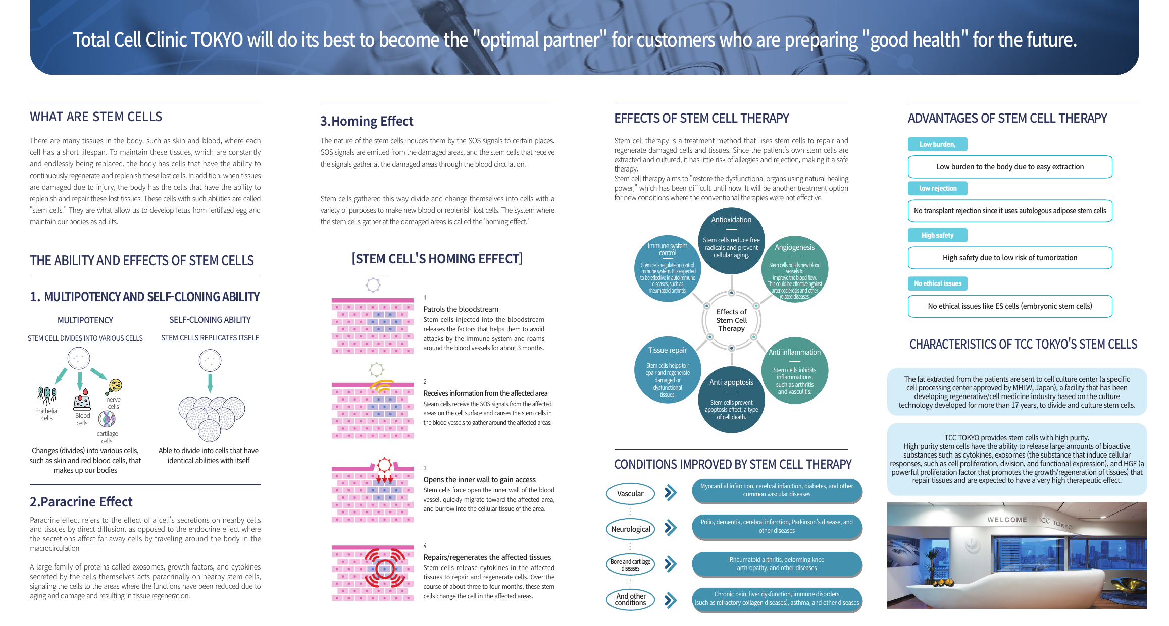 Stem Cell Therapy leaflet back