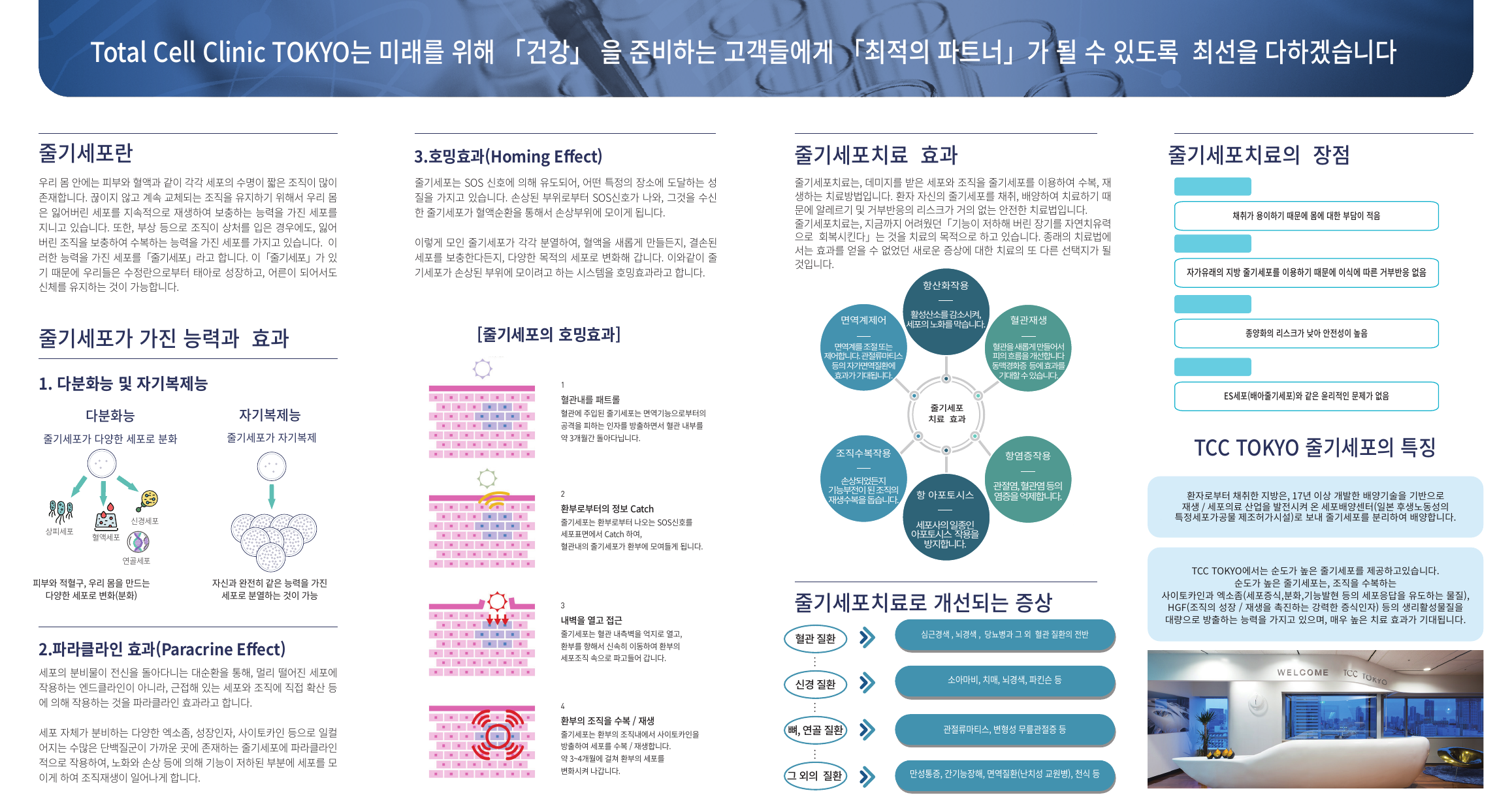 줄기세포요법 리플렛 국문 뒷면